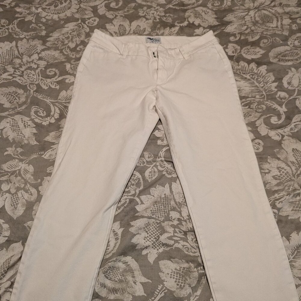 Ladies ankle pants